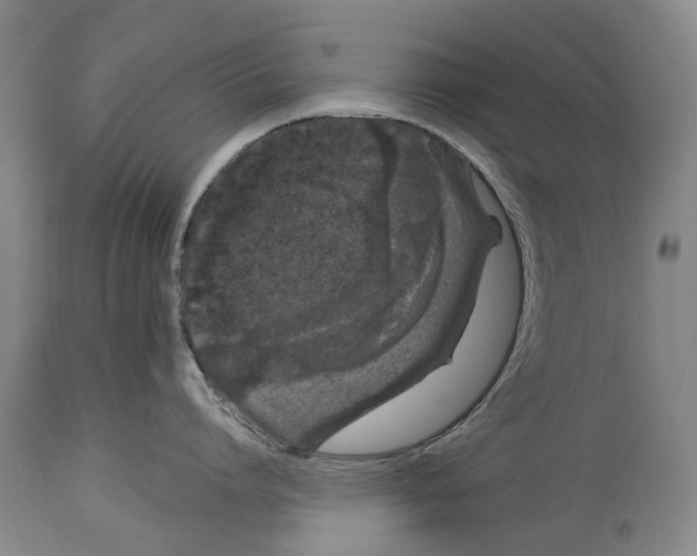 X0000114160864200911051503