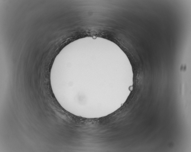 X0000114160865200911051503