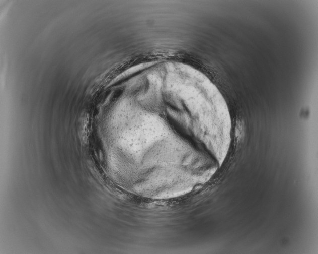 X0000114160867200911051503