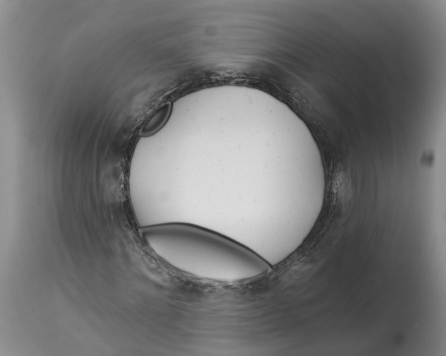 X0000114160868200911051502