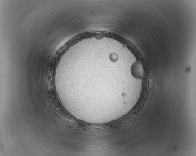 X0000114160871200911051502