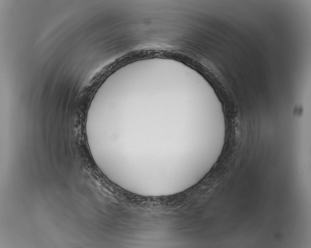 X0000114160872200911051502