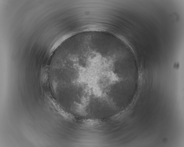 X0000114160874200911051502