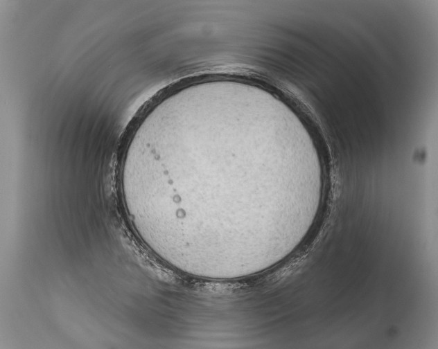 X0000114160875200911051502