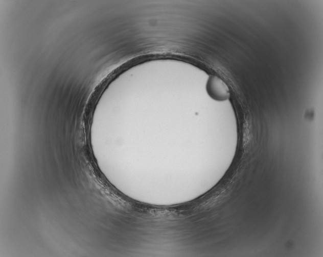 X0000114160876200911051502