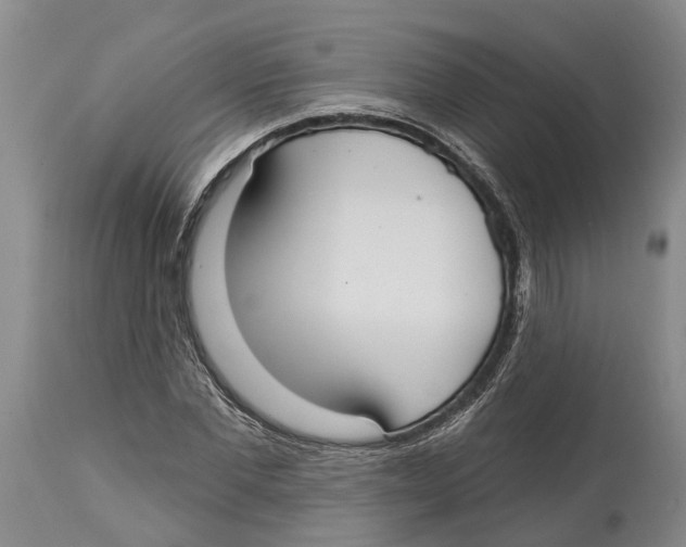 X0000114160877200911051502