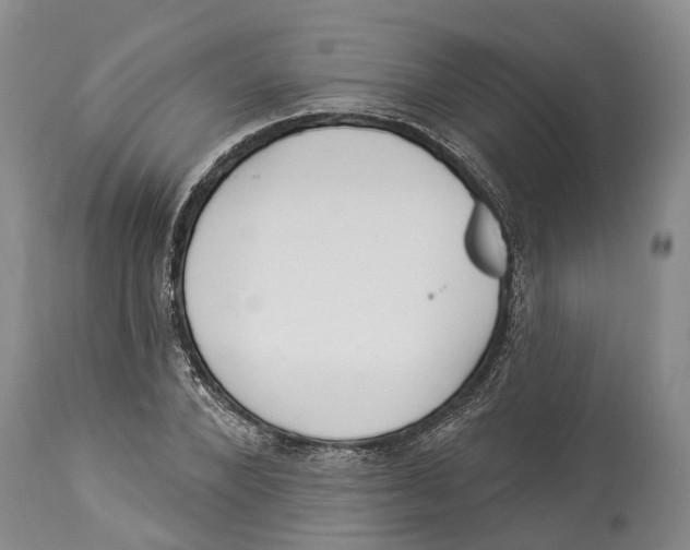 X0000114160880200911051502