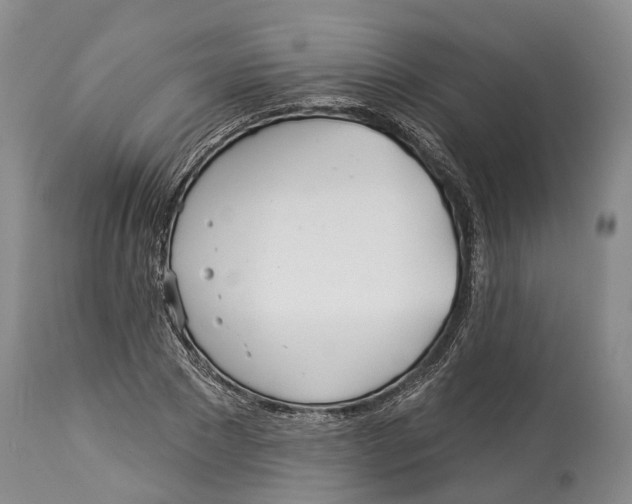 X0000114160881200911051502