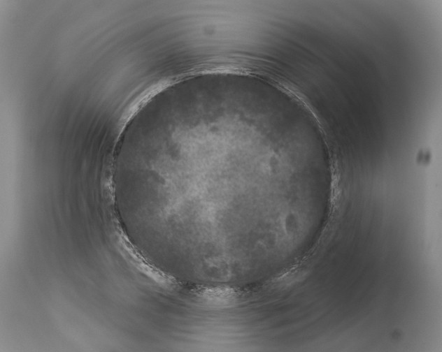 X0000114160882200911051502