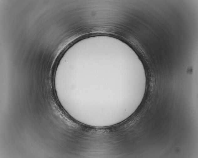 X0000114160884200911051502