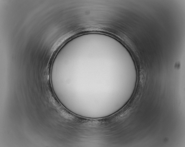 X0000114160885200911051502