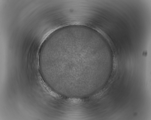 X0000114160886200911051502