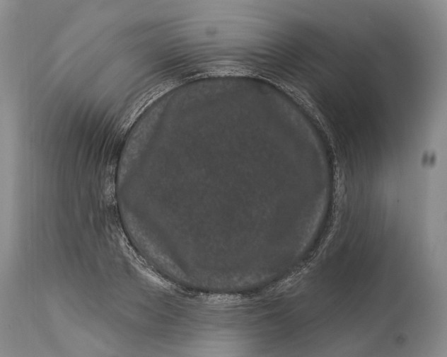 X0000114160889200911051502