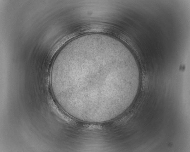 X0000114160890200911051502