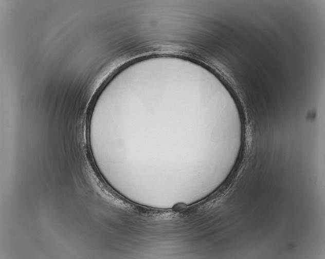 X0000114160891200911051502