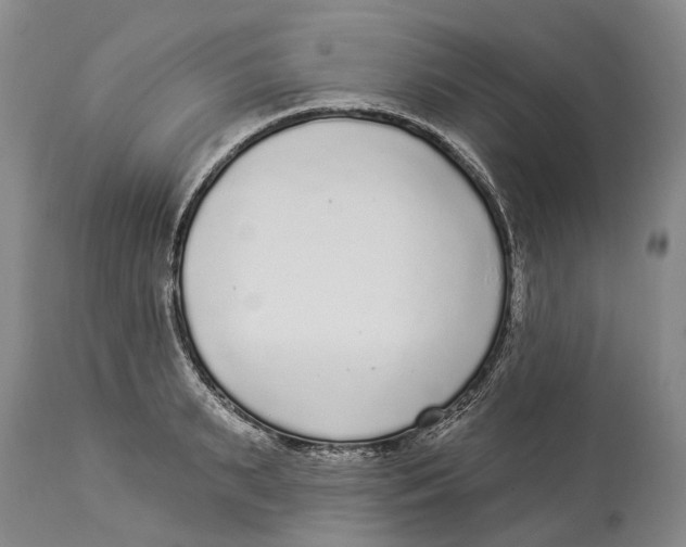 X0000114160895200911051502