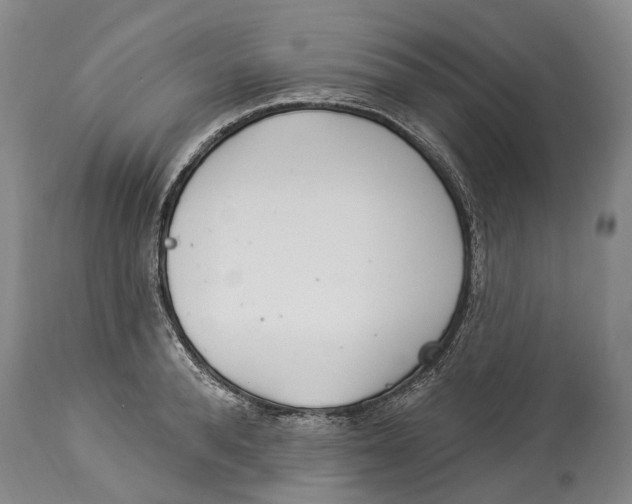 X0000114160896200911051502