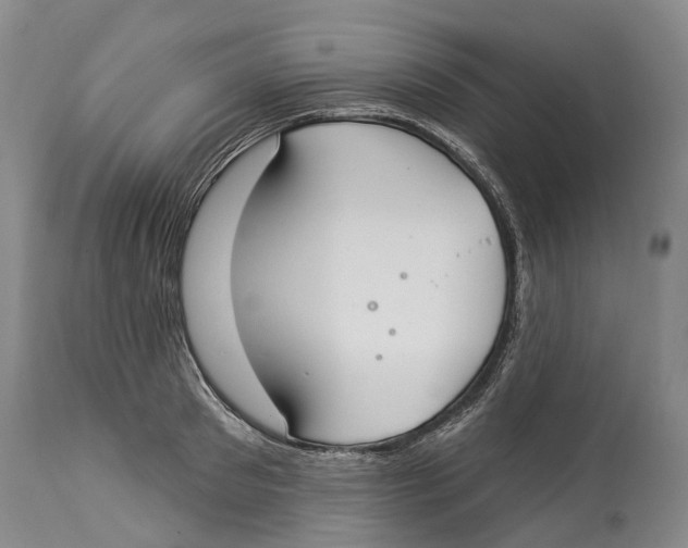 X0000114160897200911051502