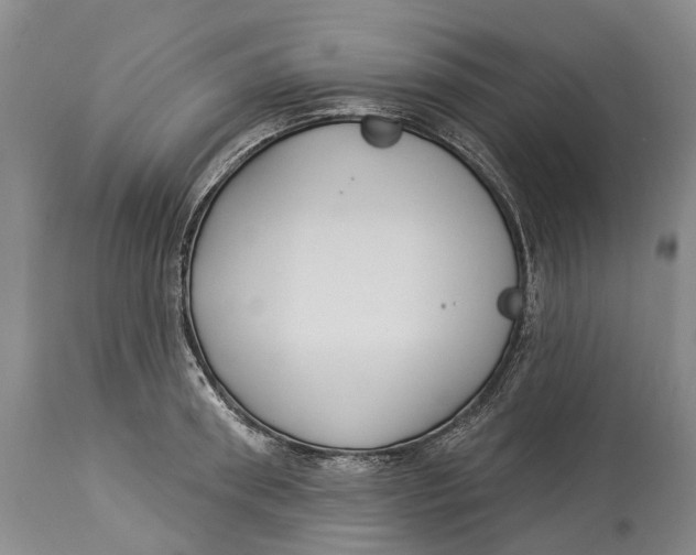 X0000114160898200911051502