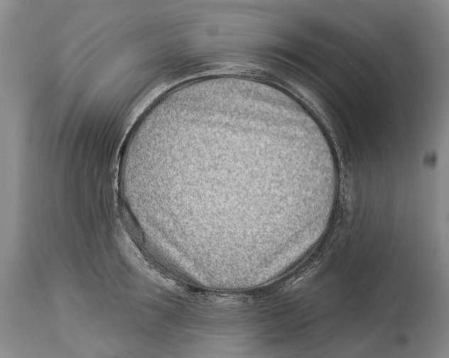 X0000114160899200911051502