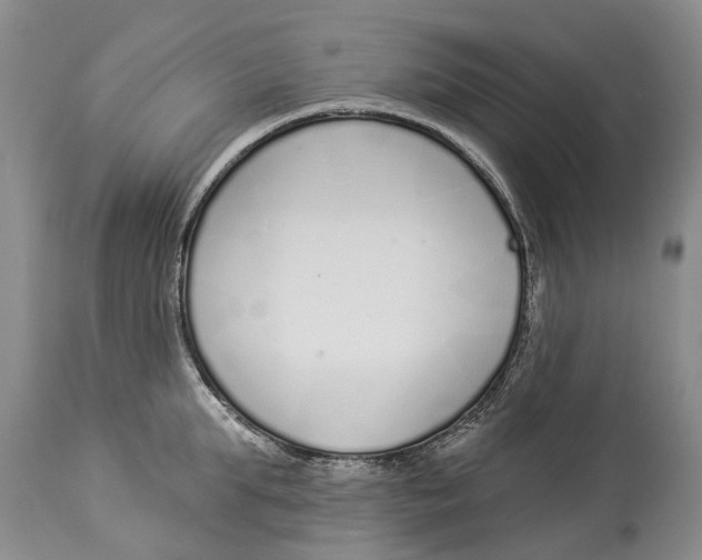 X0000114160903200911051502