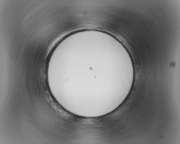 X0000114160904200911051502