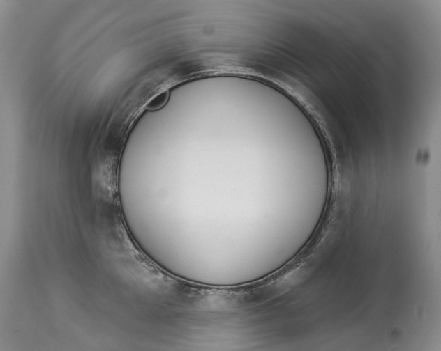 X0000114160905200911051502