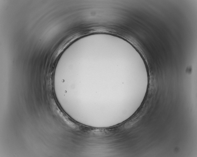 X0000114160906200911051502