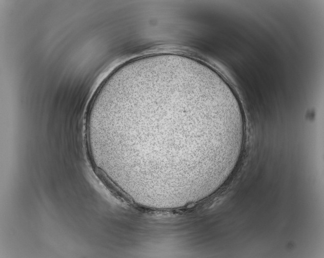 X0000114160907200911051502