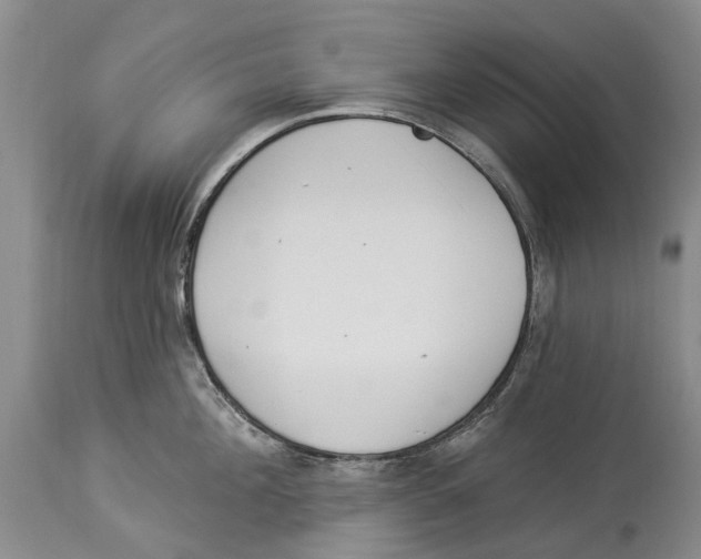 X0000114160908200911051502