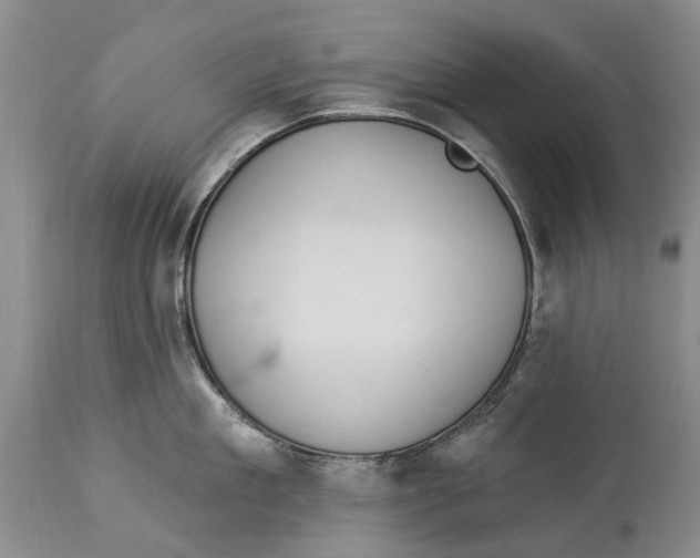 X0000114160909200911051502