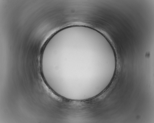 X0000114160910200911051502