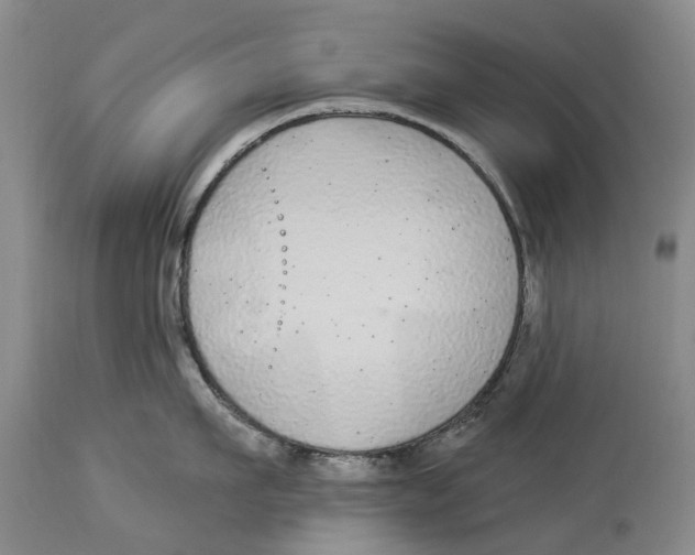 X0000114160911200911051502