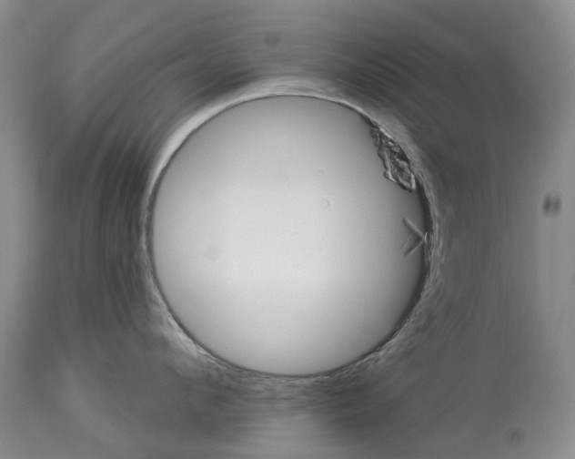 X0000114160912200911051502