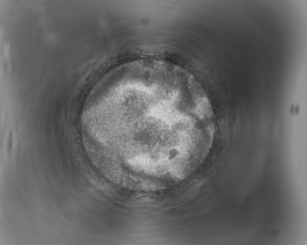 X0000114160913200911051501