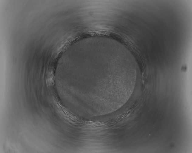 X0000114160915200911051501