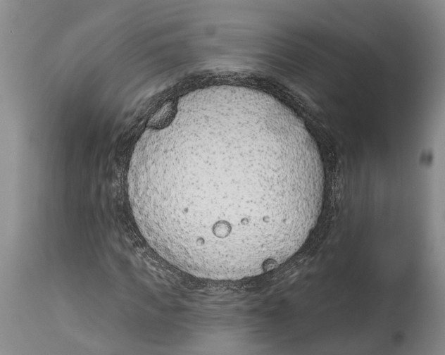 X0000114160917200911051501