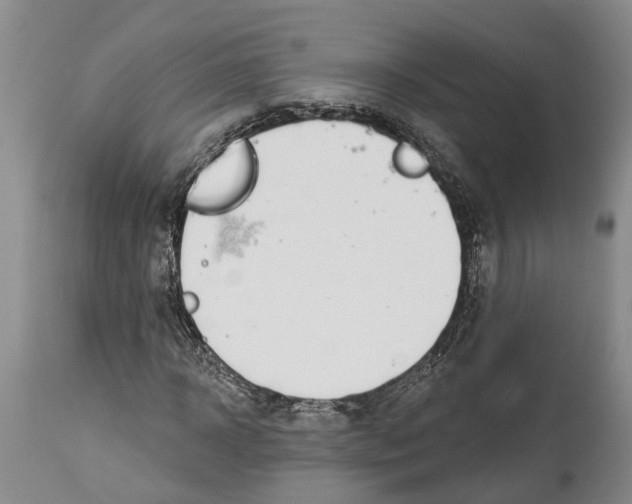 X0000114160918200911051501