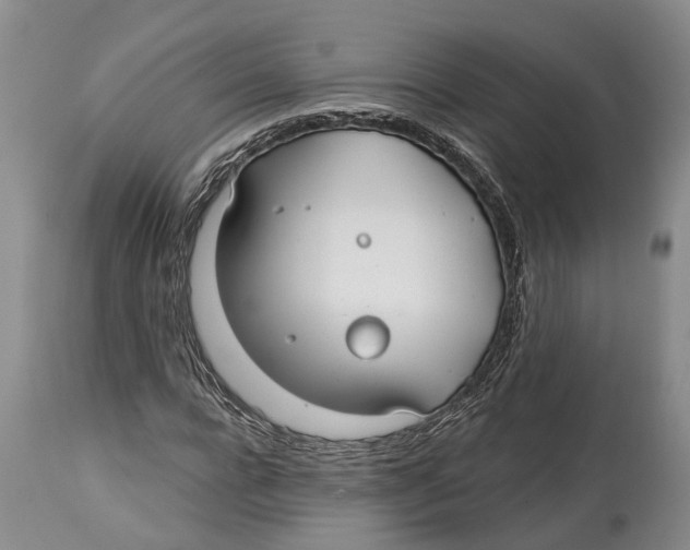 X0000114160920200911051501