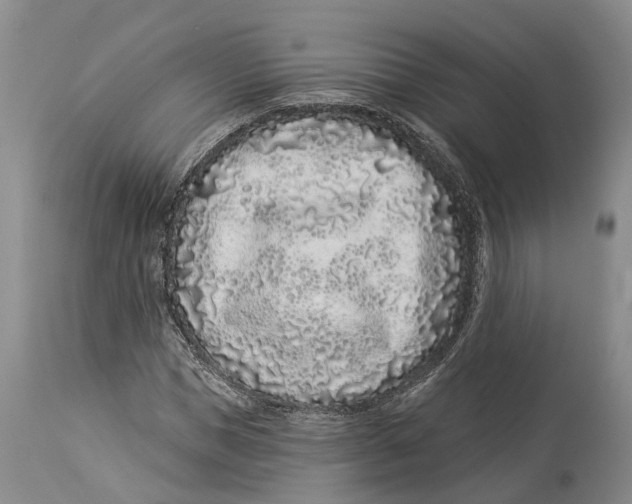 X0000114160921200911051501