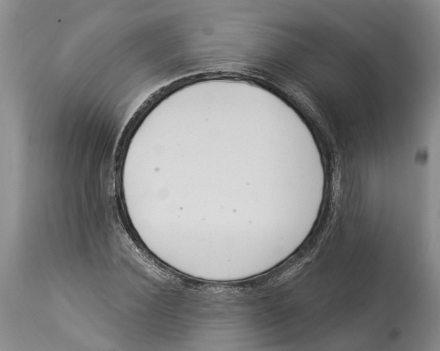 X0000114160924200911051501