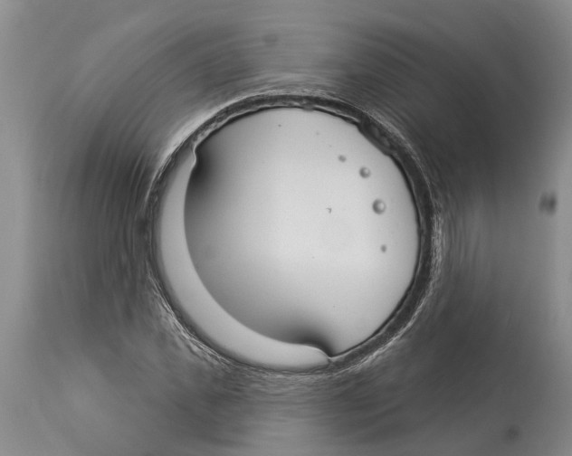 X0000114160925200911051501