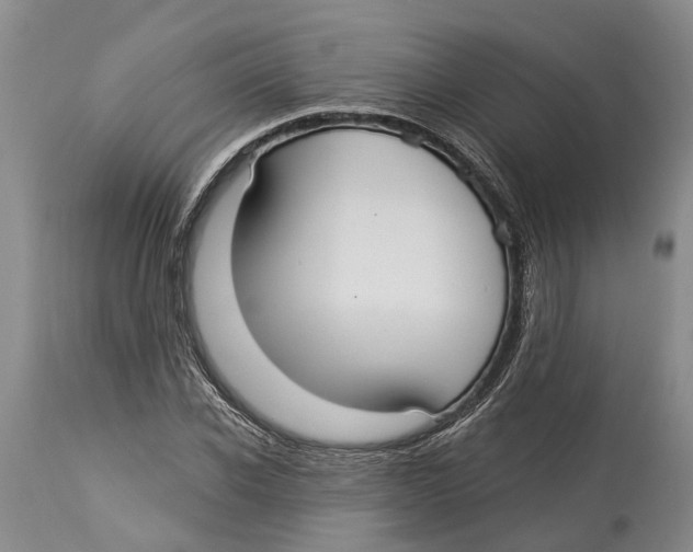 X0000114160926200911051501