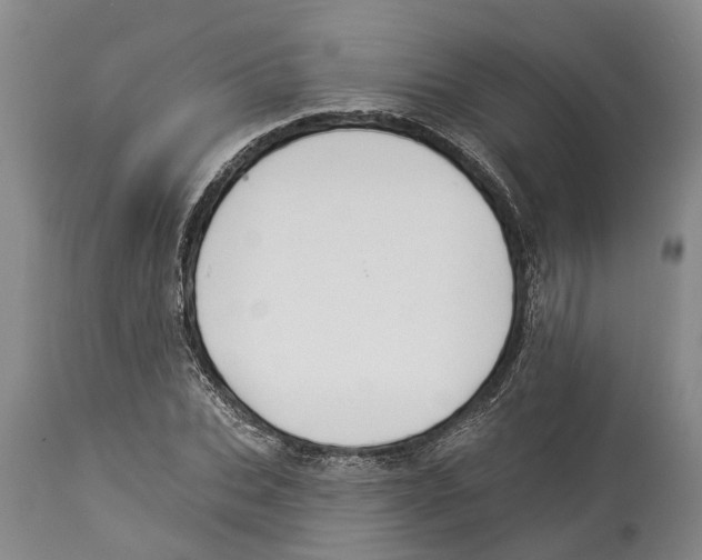 X0000114160927200911051501