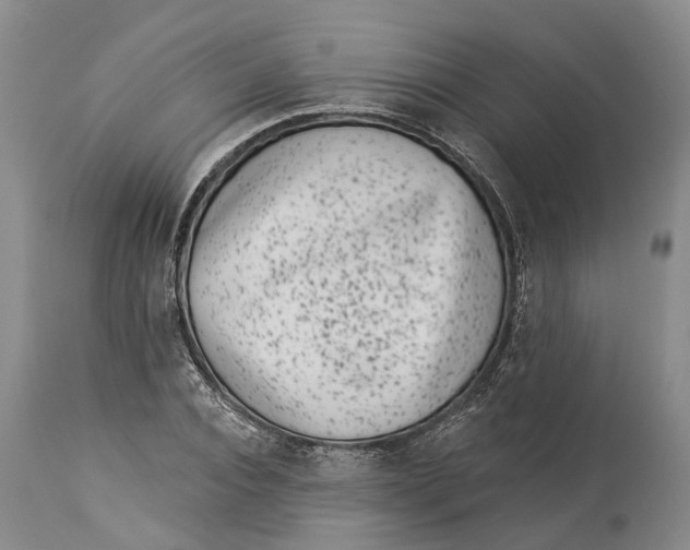 X0000114160928200911051501