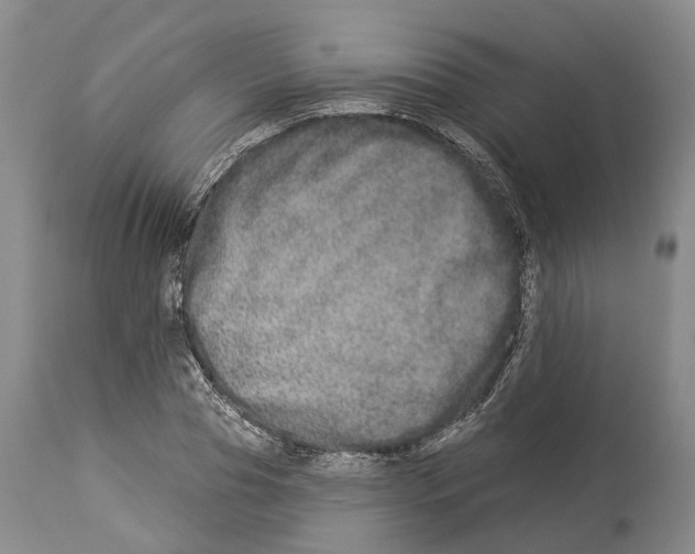 X0000114160929200911051501