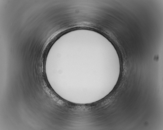 X0000114160931200911051501