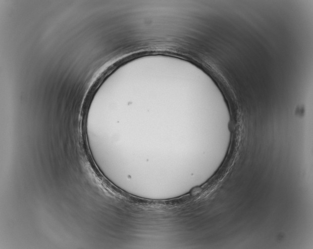 X0000114160932200911051501