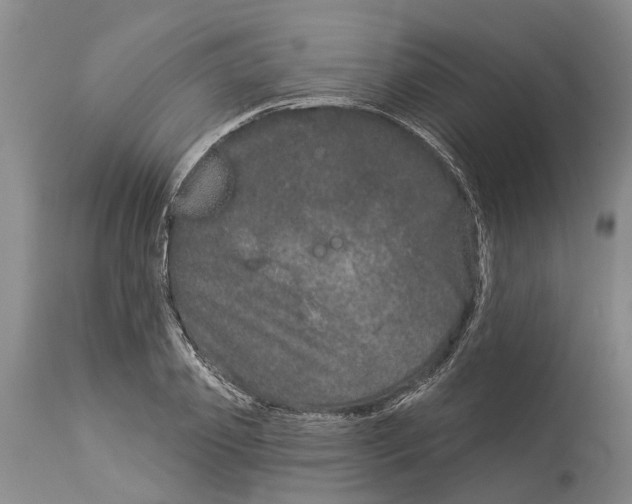 X0000114160933200911051501