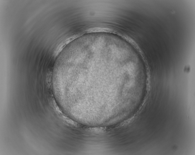 X0000114160937200911051501